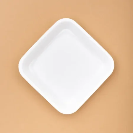 palitnis plastic plate